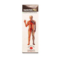 Alakananda Herbals Cardorium Plus Syrup 300ml