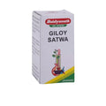 Baidyanath Ayurvedic Jhansi Giloy Satwa Powder