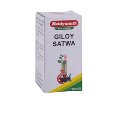 Baidyanath Ayurvedic Jhansi Giloy Satwa Powder