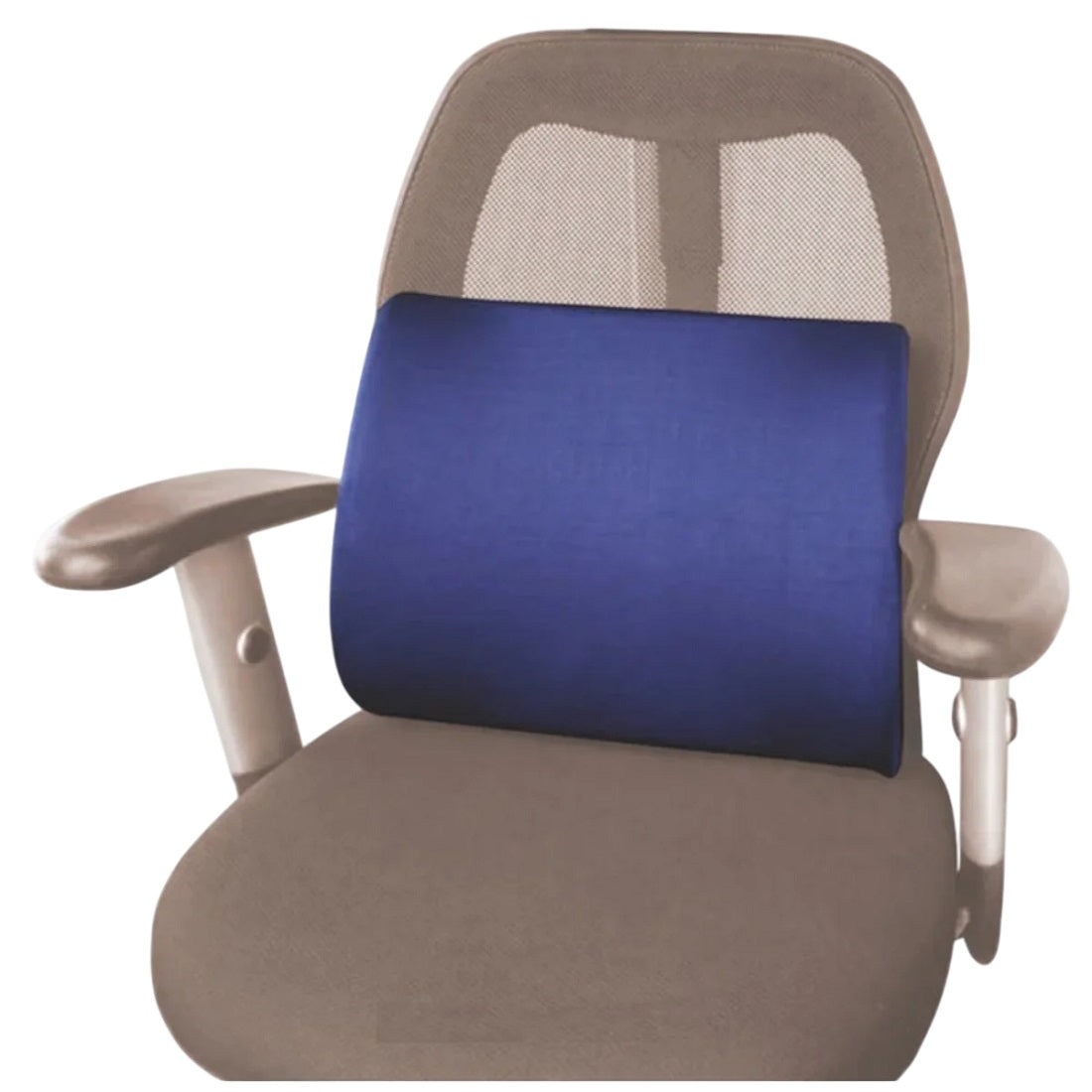 Flamingo Health Orthopaedic Foam Back Rest (Small) Type Cushion & Pillows Code 2181