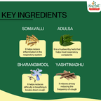 Sandu Ayurvedic Somajeevani Liquid