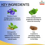 Sandu Ayurvedic Tejras Liquid 200ml