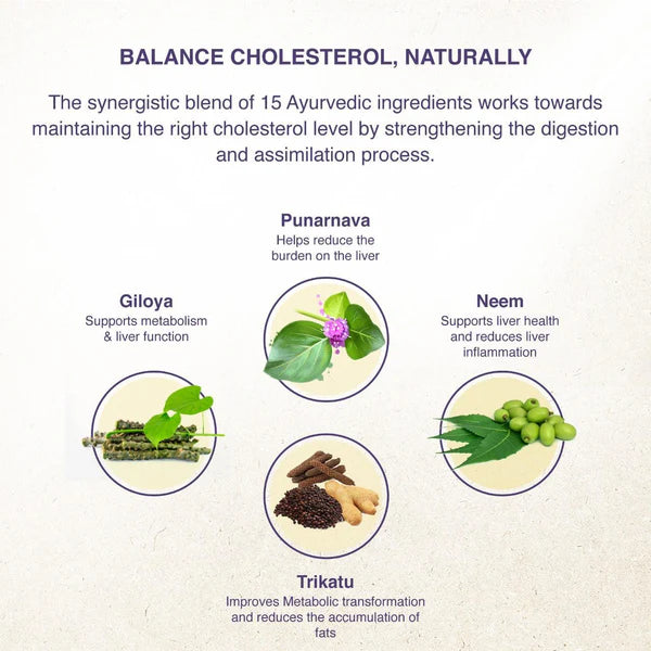 Maharishi Ayurveda Lipomap Natural Remedy 40 Tablets