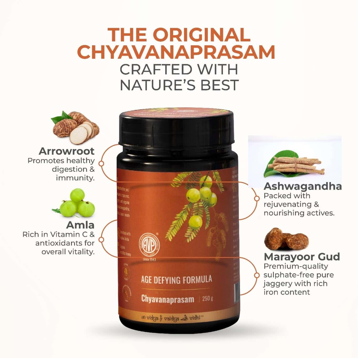AVP Chyavanaprasam Ayurvedic Paste