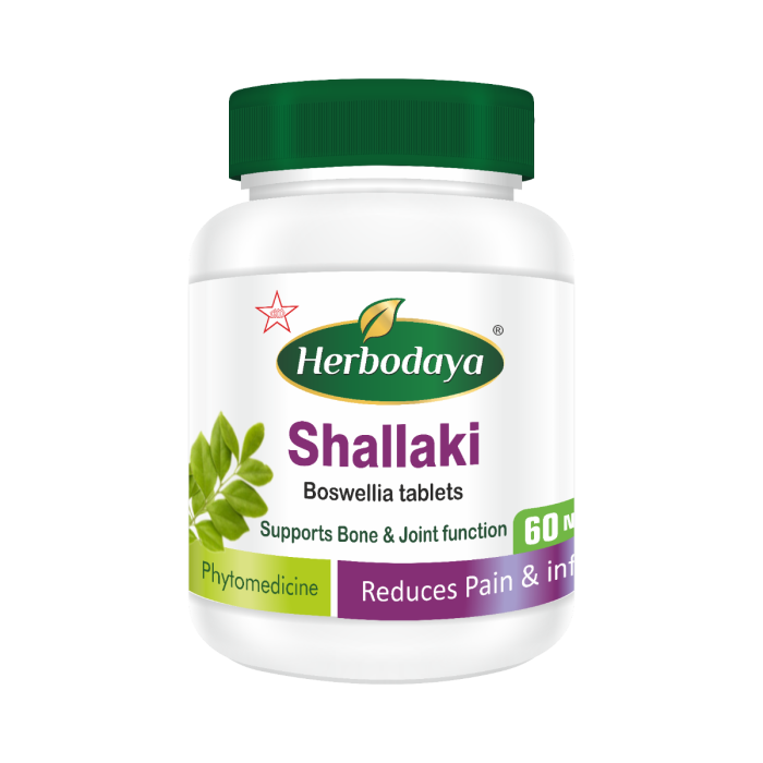 Skm Siddha Ayurveda Herbodaya Shallaki 500mg 60 Tablets