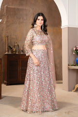 Bollywood Indian Pakistani Ethnic Party Wear Women Soft Pure Premium Net Lehenga