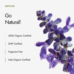Kapiva Ayurvedic Organic Indigo Powder 100g