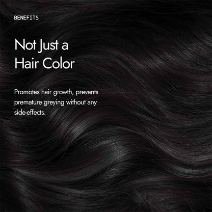 Kapiva Ayurvedic Organic Indigo Powder 100g