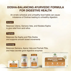 Maharishi Ayurveda Digestive Care Therapy Amlant,Dizomap & Triphala Tablets Combo