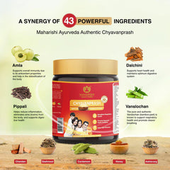 Maharishi Ayurveda Authentic Chyavanprash Effective for Building immunity 500gm