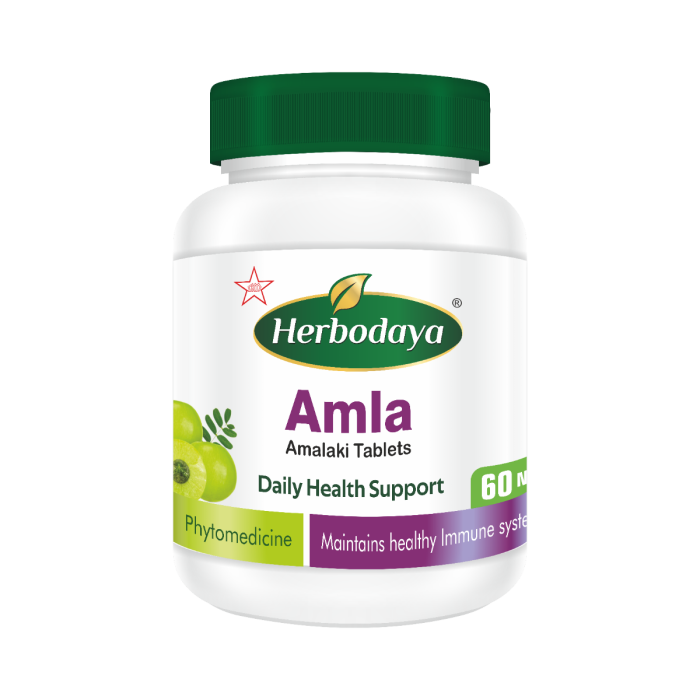 Skm Siddha Ayurveda Herbodaya Amla 60 Tablets