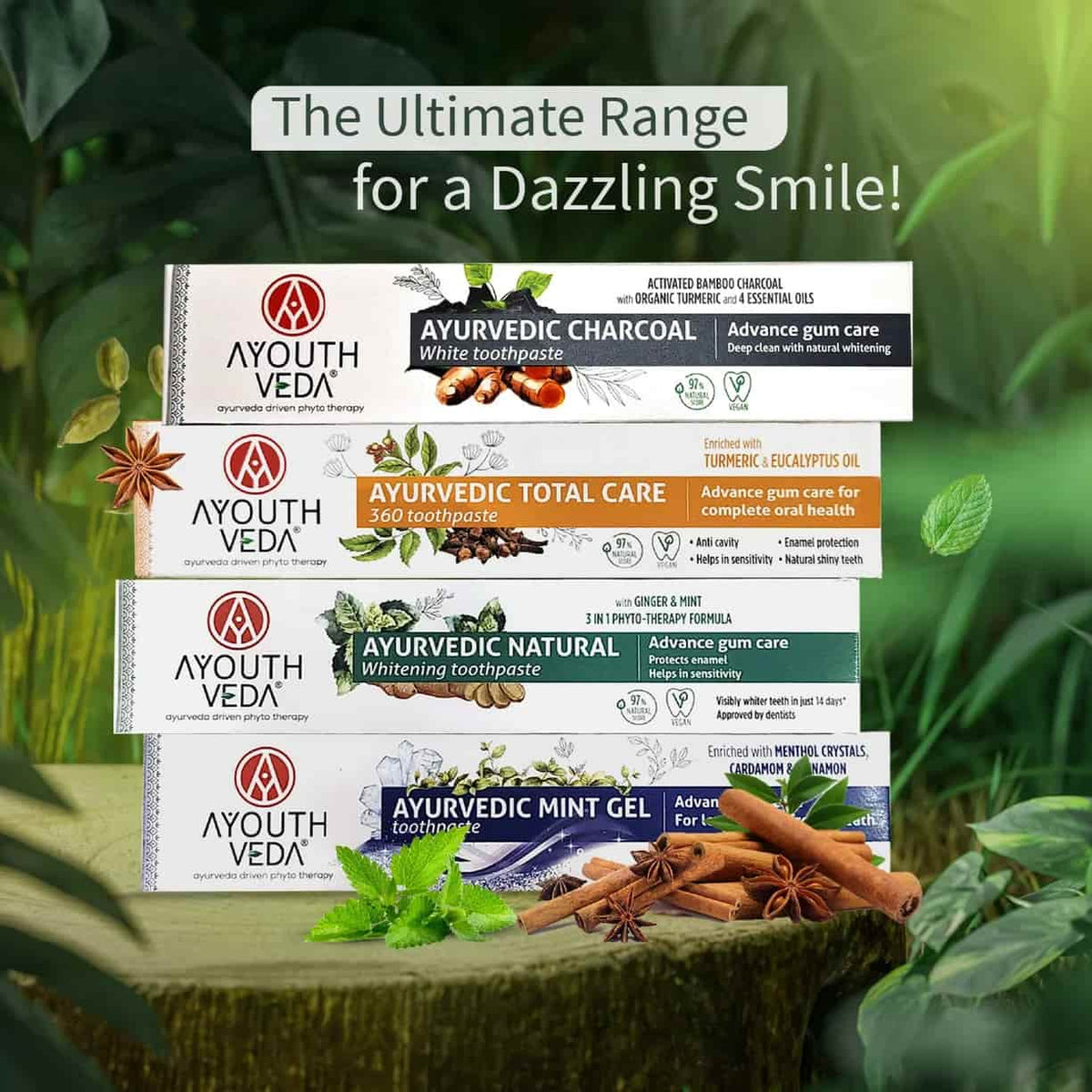 Ayouthveda Ayurvedic Toothpaste (Natural / Charcoal White / Total Care / Mint Gel)