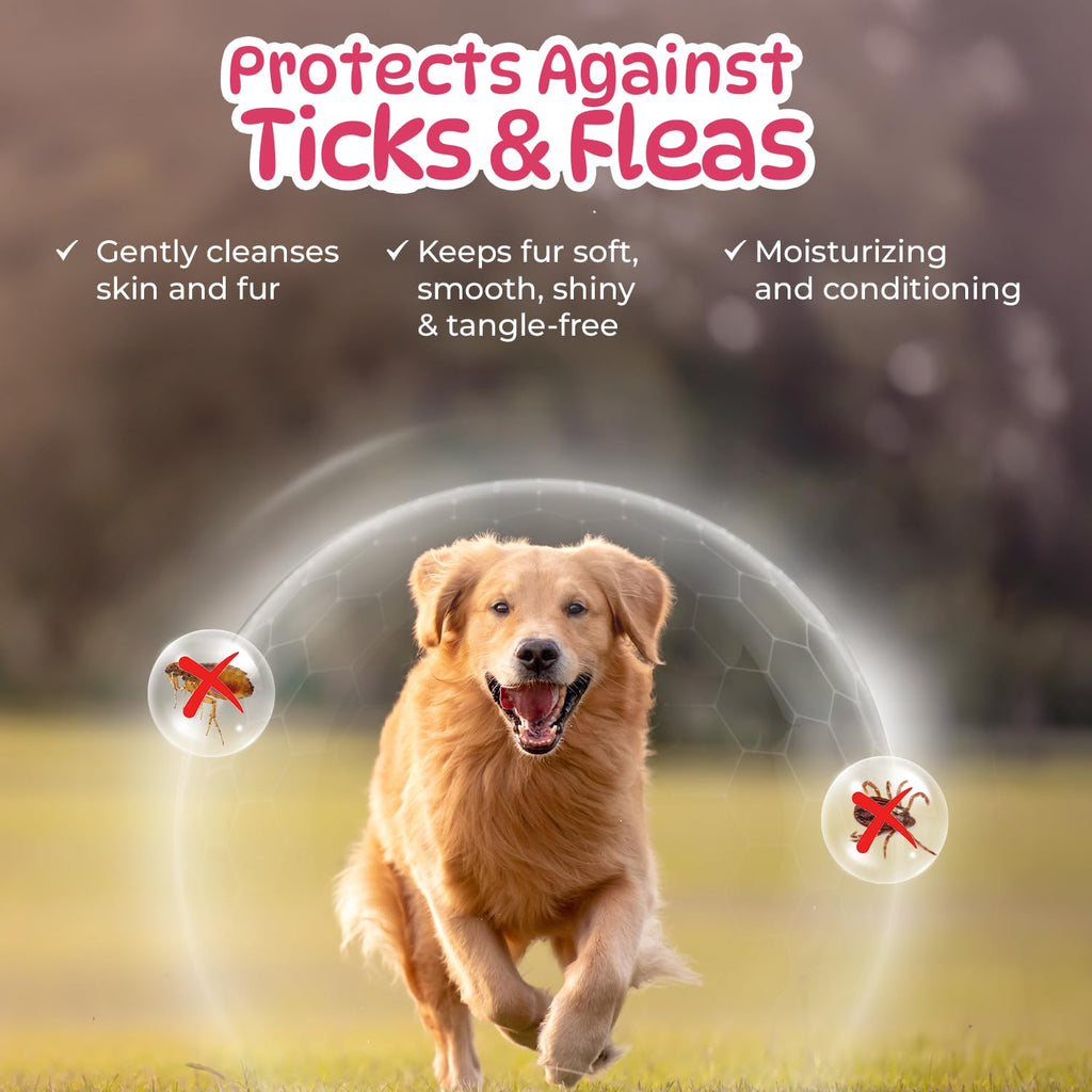 Leeford Pet O Wash Hunde- und Katzenshampoo