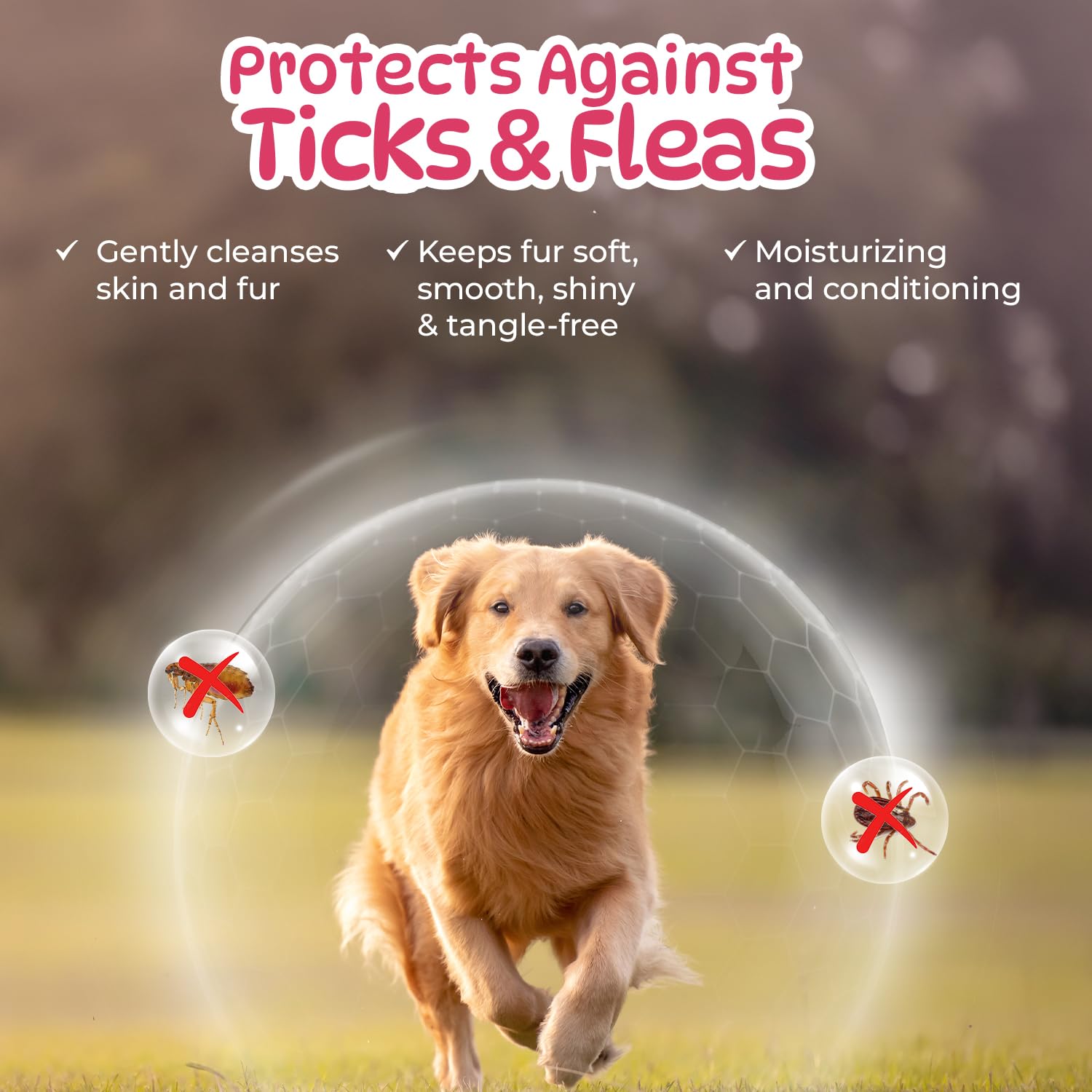 Leeford Pet O Wash Dog And Cat Shampoo