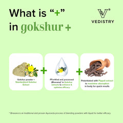 Vedistry Ayurvedic Gokshur+ Strengthens Energy Stamina 60 Tablets