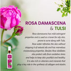 Bakson's Sunny Herbals Skin With Aloevera,Neem,Tulsi For Fresh Look Skin Care Toner Liquid 100ml