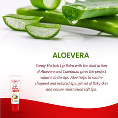 2 X Bakson's Sunny Herbals Lip Balm With Almond oil,Aloevera Glossy Lips Balm 10gm