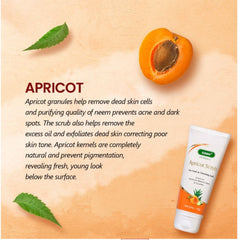 Bakson's Sunny Herbals Apricot Aloevera with Neem & Cucumber For Fresh & Charming Look Skin Care Scrub 100gm