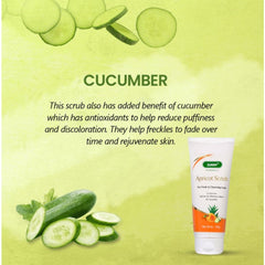 Bakson's Sunny Herbals Apricot Aloevera with Neem & Cucumber For Fresh & Charming Look Skin Care Scrub 100gm