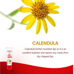 2 x Bakson's Sunny Herbals Lippenbalsam mit Mandelöl, Aloe Vera und Calendula, glatter und glänzender Lippenbalsam, 10 g