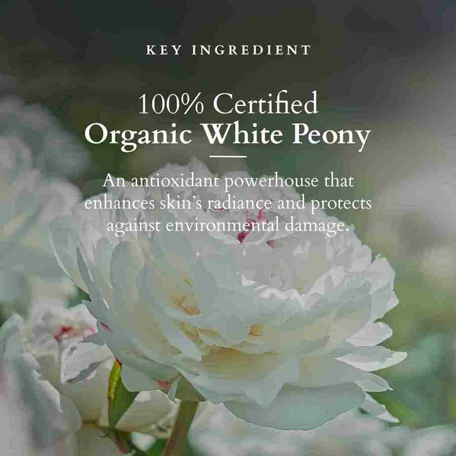 Lotus Herbals Cosmetics Precious Brightening Facial Kit