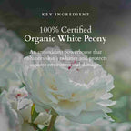 Lotus Herbals Cosmetics Precious Brightening Facial Kit