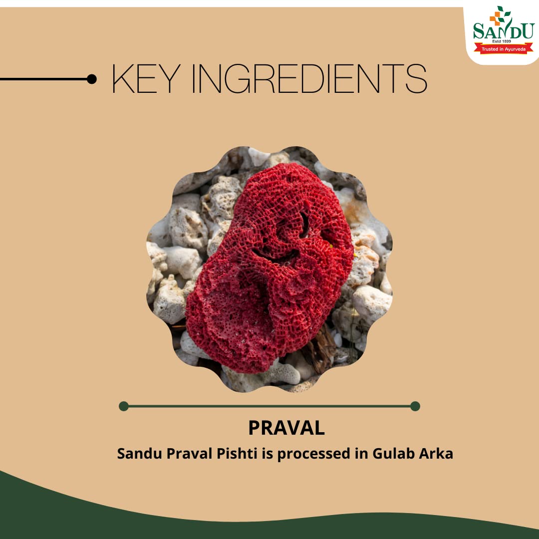 Sandu Ayurvedic Praval Pishti Powder 10g