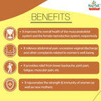 Sandu Ayurvedic Dashmularishta Liquid