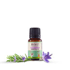 Pilgrim Cosmetics Spanish Rosemary Essential Oil 10ml