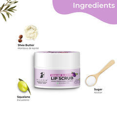Pilgrim Cosmetics Squalane Blueberry Lip Scrub 8gm