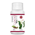 Dr Vasishth's Ayurvedic Dolid Dry Syrup For Kids Powder 10 Gm