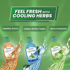 Himalaya Herbal Ayurvedic Personal Oral Care Active Fresh Saunf Mundwasser 215ml
