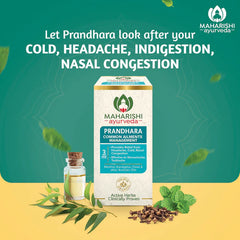 Maharishi Ayurveda Ayur Defence Shield For Seasonal Infections & Flu Kit